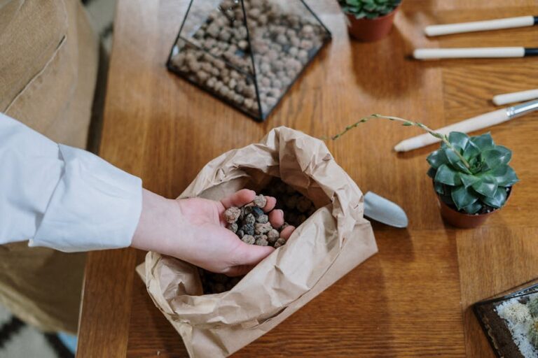 best soil for succulents